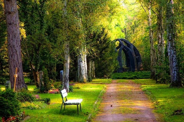 Allée bordée d'arbres dans un cimetière paysager en automne